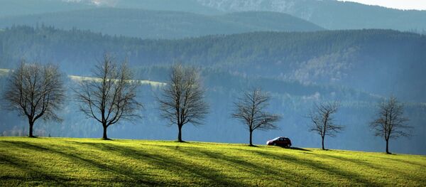 A car drives through the Black Forest near St Maergen backdropped by the Feldberg mountain, southern Germany A car drives through the Black Forest near St Maergen backdropped by the Feldberg mountain, southern Germany - Sputnik International