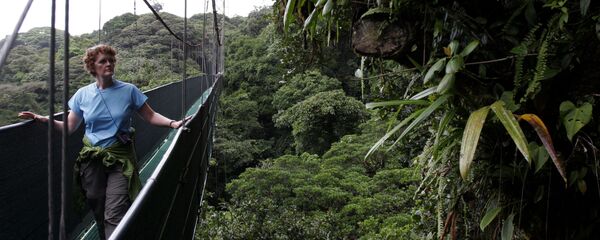 Monteverde Cloud Forest Reserve, Costa Rica - Sputnik International