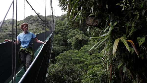 Monteverde Cloud Forest Reserve, Costa Rica - Sputnik International