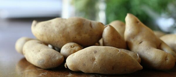 Fingerling potatos Fingerling potatos - Sputnik International
