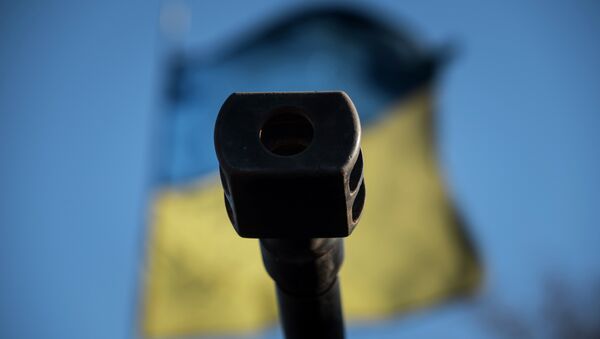 A Ukrainian flag is seen behind a canon near the village of Luhanske, eastern Ukraine - Sputnik International