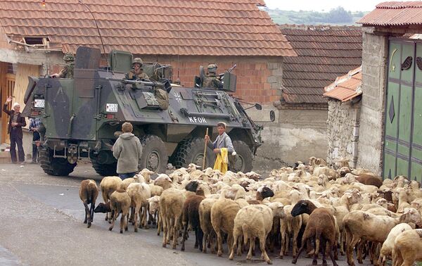 A German armoured vehicle part of the NATO-led KFOR troops drives past a herd of sheep 17 June 1999 in Orahovac, south western Kosovo. A German armoured vehicle part of the NATO-led KFOR troops drives past a herd of sheep 17 June 1999 in Orahovac, south western Kosovo. - Sputnik International
