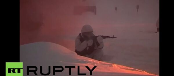 Russia: Northern Fleet test combat alertness in Arctic drills - Sputnik International