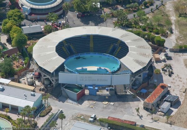 Killer Whale Goes on Trial in Florida - Sputnik International