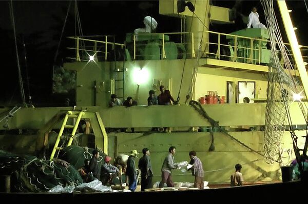 Workers from Myanmar load fish onto a Thai-flagged cargo ship in Benjina, Indonesia. Workers from Myanmar load fish onto a Thai-flagged cargo ship in Benjina, Indonesia. - Sputnik International