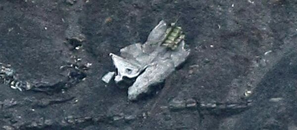 Debris of the crashed Germanwings passenger jet - Sputnik International