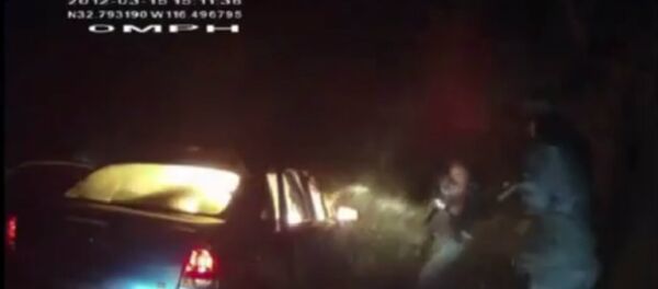 Border Patrol Taser Ignites Car Fire, Kills Driver Border Patrol Taser Ignites Car Fire, Kills Driver - Sputnik International