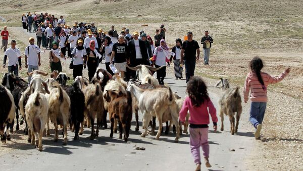 Bedouin children and their herd of goats walk toward protesters during a four-day march to Jerusalem - Sputnik International