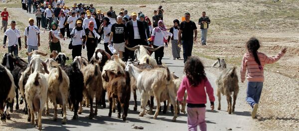Bedouin children and their herd of goats walk toward protesters during a four-day march to Jerusalem Bedouin children and their herd of goats walk toward protesters during a four-day march to Jerusalem - Sputnik International