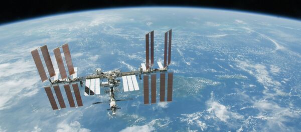This 2010 file photo provided by NASA shows the International Space Station with Earth's horizon as a backdrop. This 2010 file photo provided by NASA shows the International Space Station with Earth's horizon as a backdrop. - Sputnik International