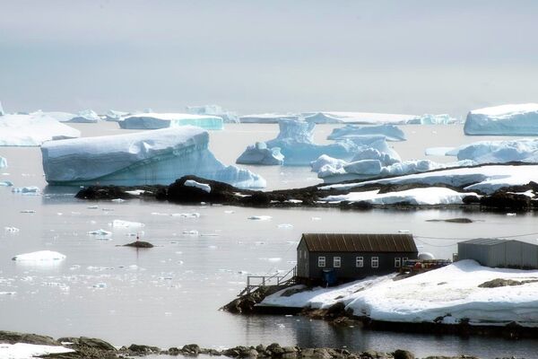 Vernadsky Station in Antarctica - Sputnik International