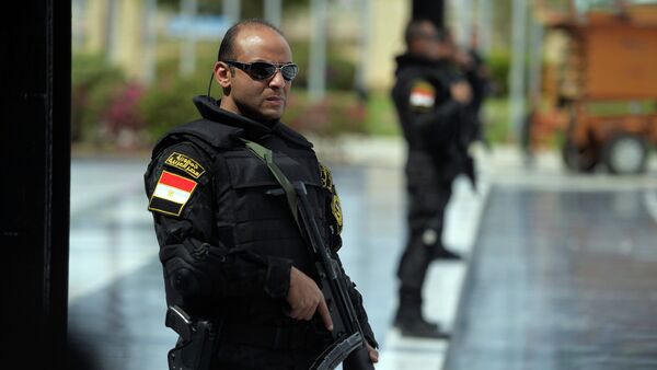 Egyptian police. File photo - Sputnik International
