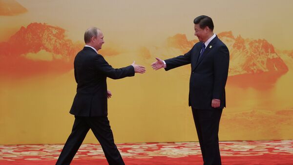 Vladimir Putin attends APEC summit - Sputnik International