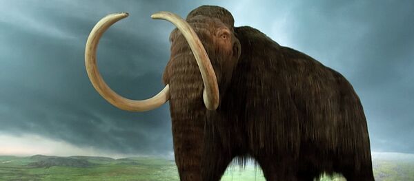 The unique find, made in the course of the oil workers' land reclamation work, was made about fifty kilometers from the town of Nyagan, in the Khanty-Mansi Autonomous Region in western Siberia. - Sputnik International