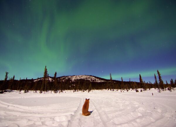 Terrifying ‘Red Sign’ of Doom Etched in Japan’s Sky 1,400-Years Ago Finally Explained - Sputnik International
