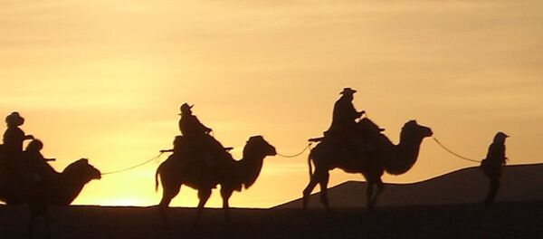  Sunrise by camel - Sputnik International