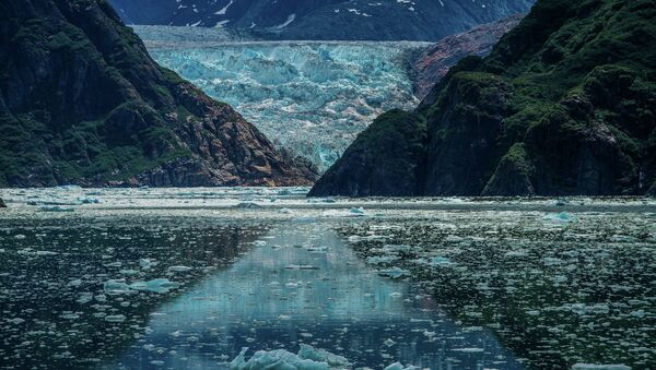 Alaska Cruise - Sawyer Glacier - Sputnik International