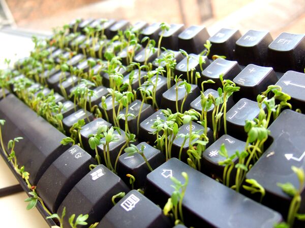 Planting a garden in your co-worker’s keyboard will definitely leave them speechless. - Sputnik International