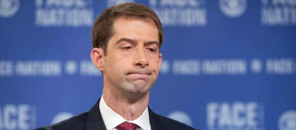 Senator Tom Cotton Senator Tom Cotton - Sputnik International