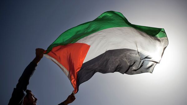 A Palestinian demonstrator waves a Palestinian flag. - Sputnik International