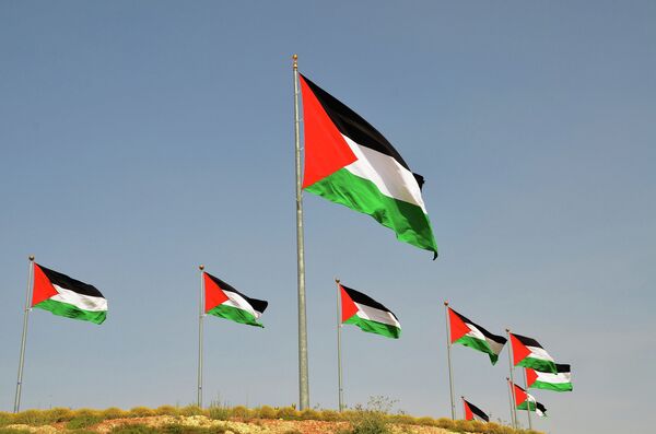 Palestinian flags Palestinian flags - Sputnik International