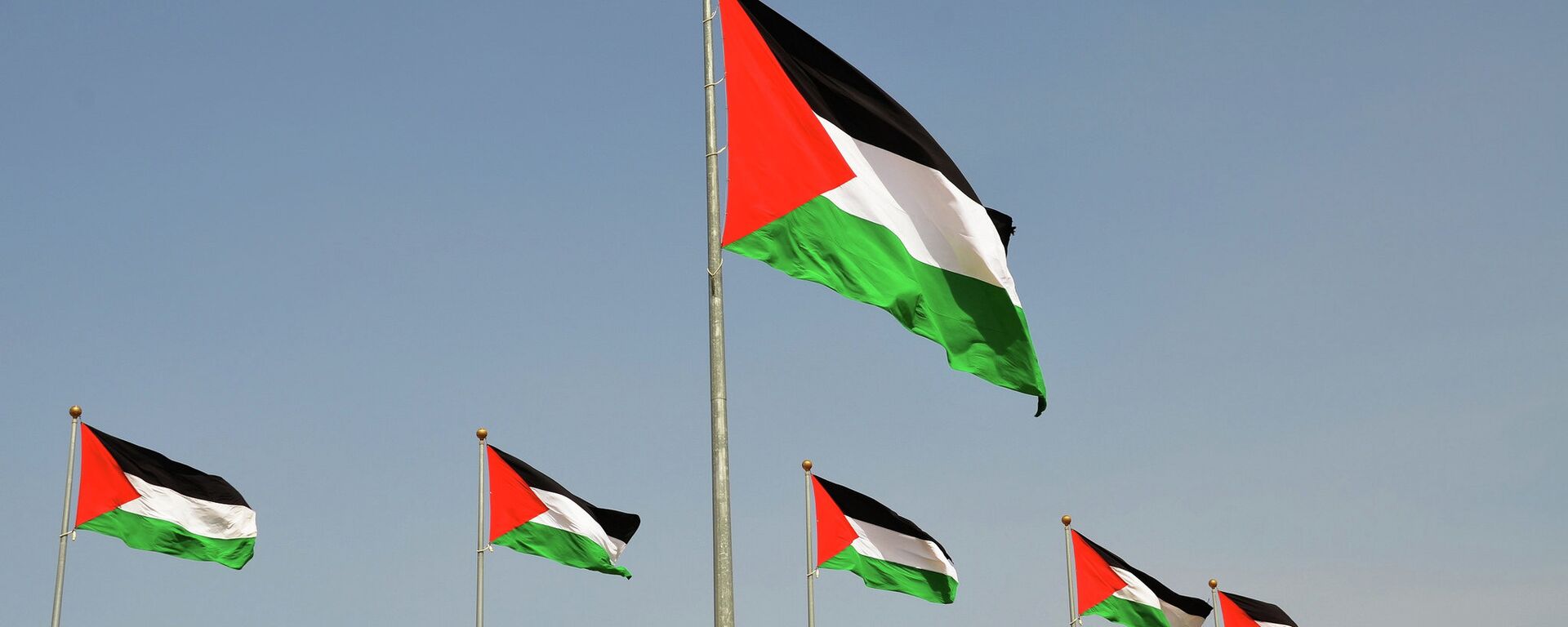 Palestinian flags - Sputnik International, 1920, 08.08.2025
