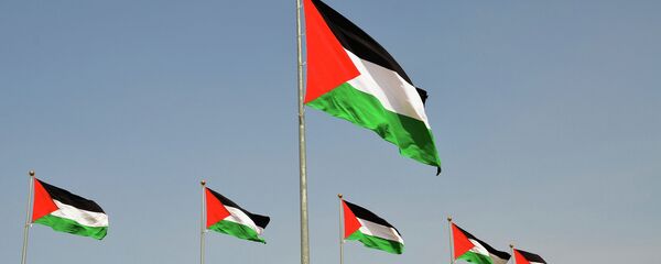 Palestinian flags Palestinian flags - Sputnik International