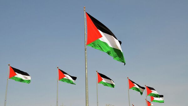 Palestinian flags - Sputnik International