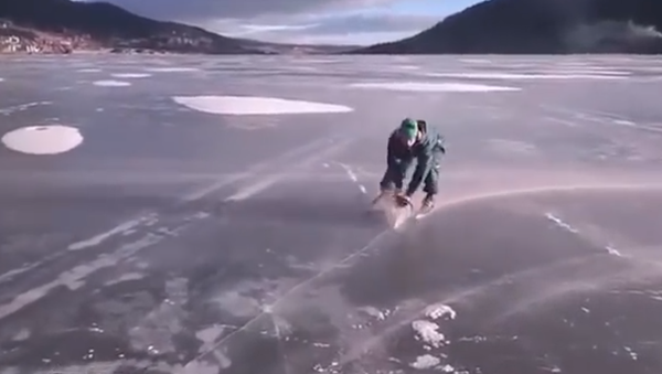 This is Madness! Man Skates on Ice Using a Chainsaw - Sputnik International