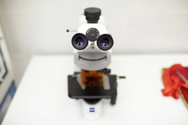 Russian Scientists Find Universal Natural Antibiotic - Sputnik International