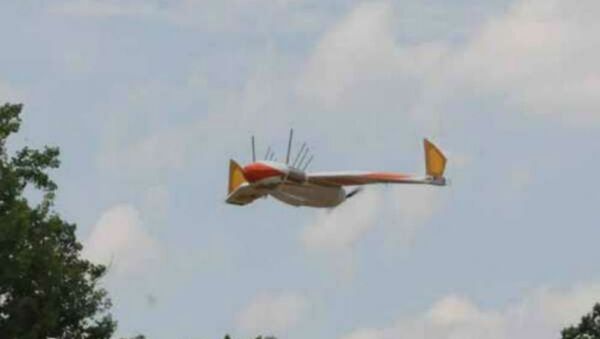 The Navy Research Lab's duck drone, Flying WANDA, in flight - Sputnik International