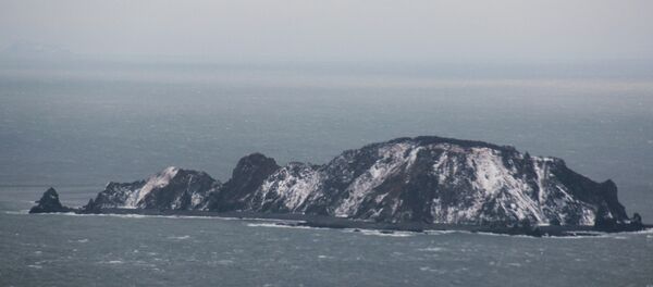 Searching for Amurskaya bulk freighter in Sea of Okhotsk - Sputnik International