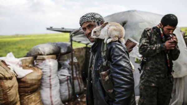 A Kurdish fighter poses with a rabbit on the outskirts of the Syrian town of Kobane, also known as Ain al-Arab - Sputnik International
