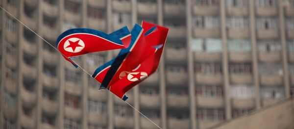 Western Pressure is a ‘Common Problem’ for Russia, North Korea - Ambassador - Sputnik International