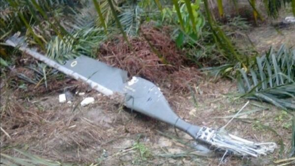 Malaysia helicopter crash -- Malaysia helicopter crash kills 6, including ex-ambassador to the US - Sputnik International
