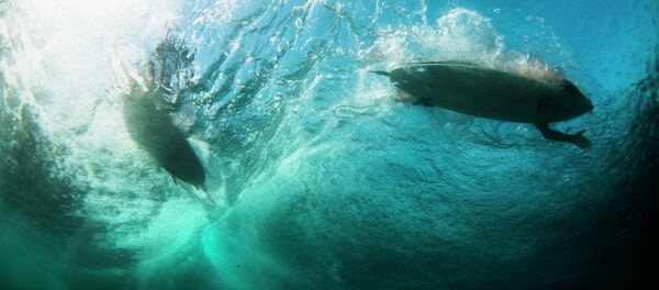 Surfers - Sputnik International