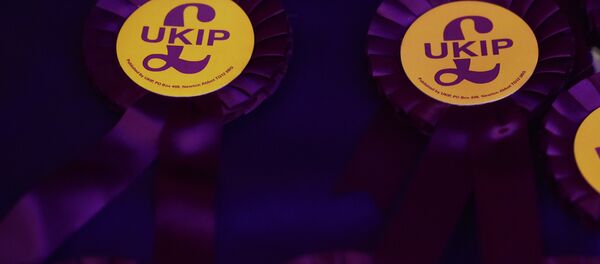 UK Independence Party (UKIP) rosettes - Sputnik International