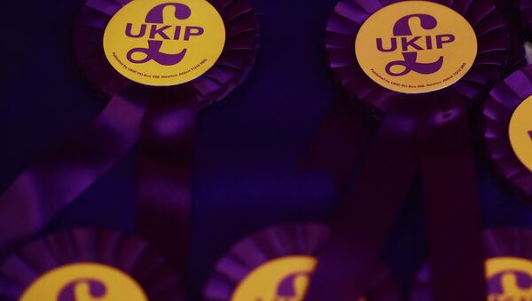 UK Independence Party (UKIP) rosettes - Sputnik International