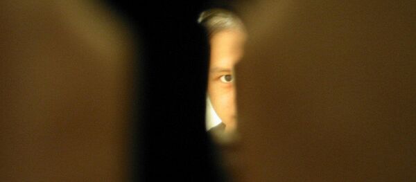 Keyhole peep-a-boo Keyhole peep-a-boo - Sputnik International