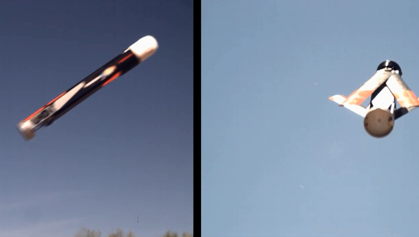 Testing of LOCUST launcher and UAV - Sputnik International