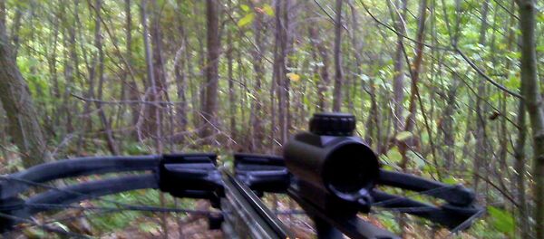 She has killed dozens of animals in hunts across Africa and America. - Sputnik International