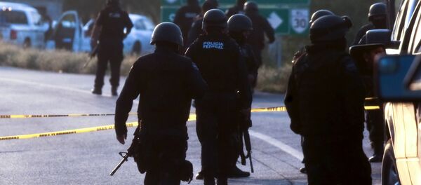 Mexican Federal personnel police Mexican Federal personnel police - Sputnik International