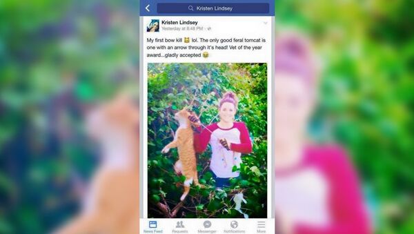 Screen shot of veterinarian Kristen Lindsey's Facebook post in which she boasts having shot a cat with a bow and arrow - Sputnik International