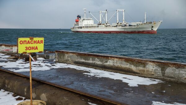 Bodies of all foreign victims of sunken Dalniy Vostok trawler sent home - Sputnik International