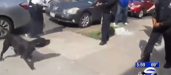 Cops Aim for Pet Dog, Nearly Shoot Bystanders on New York City Street Cops Aim for Pet Dog, Nearly Shoot Bystanders on New York City Street - Sputnik International