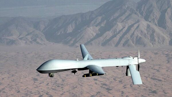 US MQ-1 Predator drone (Archive) - Sputnik International