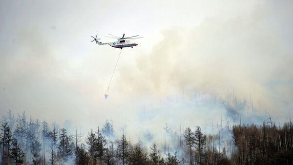Forest fires in the Zabaikalye territory - Sputnik International