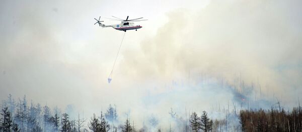 Forest fires in the Zabaikalye territory Forest fires in the Zabaikalye territory - Sputnik International