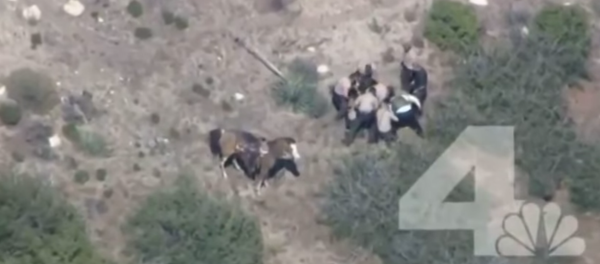 California Man Beaten by Cops on Video to Get $650K Settlement - Sputnik International