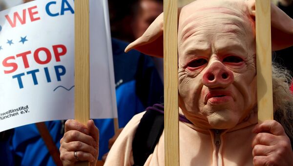 People dressed in costumes take part in a demonstration against the Transatlantic Trade and Investment Partnership (TTIP), a proposed free trade agreement between the European Union and the United States, in Munich April 18, 2015 - Sputnik International